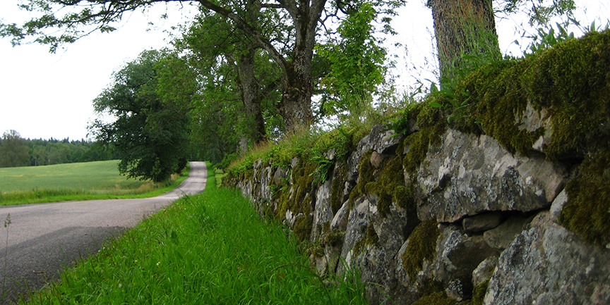 Muren vid Rusken.