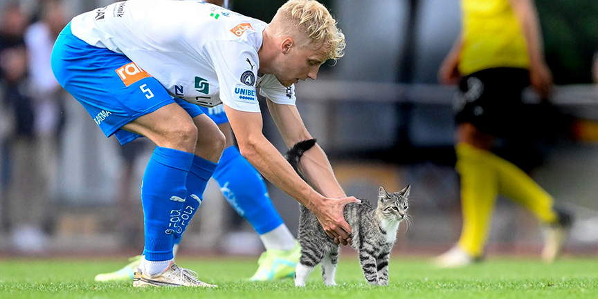 Fotbollsspelaren Victor Larsson lyfter upp den planstormade katten Ester