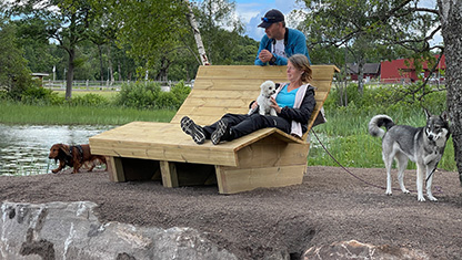 Hundar vid Sörsjön och en kvinna som sitter på en bänk med en liten hund i knät.