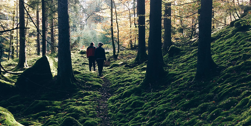 Två människor som vandrar i skogen