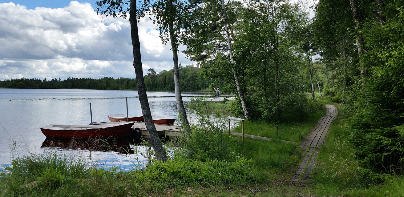 Roddbåtar i vacker miljö vid mindre sjö.