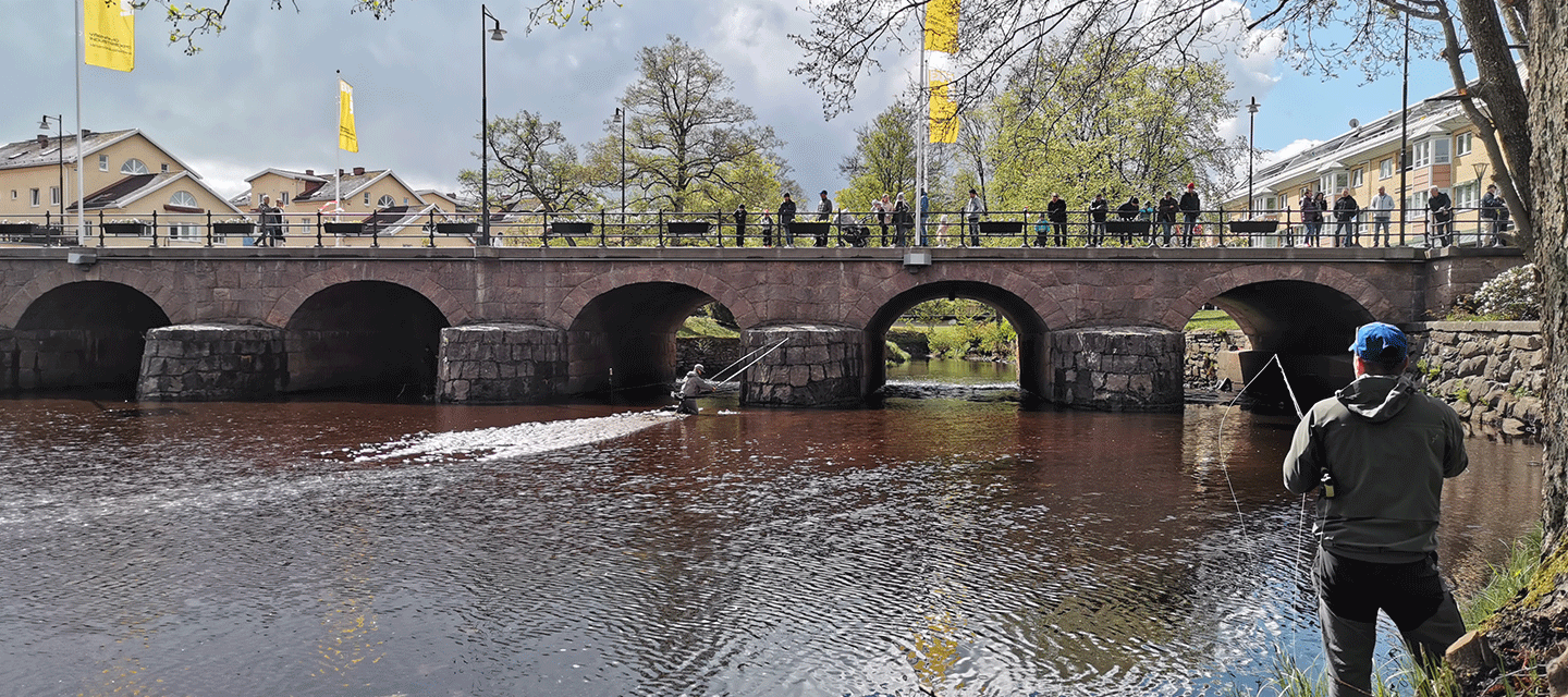 Fiske i ån Lagan