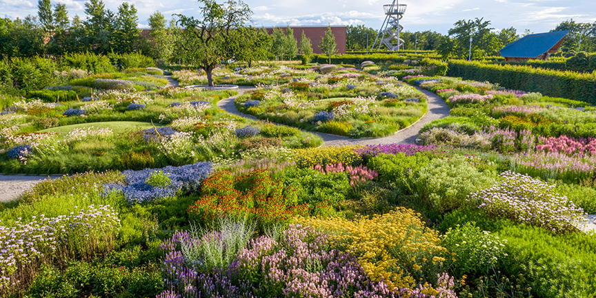 Oudolf-trädgården på Vitra Campus - Fotograf Marek Iwicki