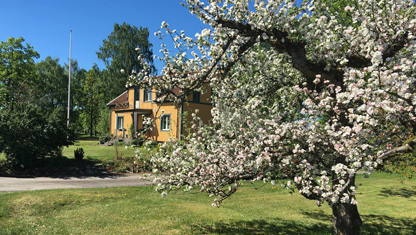 Ekhaga B&B i bild från trädgården