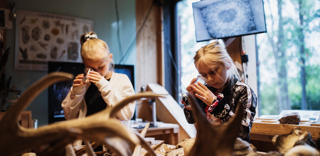 Två barn kollar in i varsitt kaleidoskop på Naturum, Store Mosse