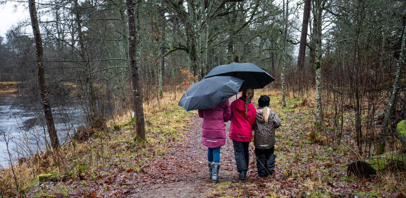Tre barn går under paraply en regnig och höstig dag.